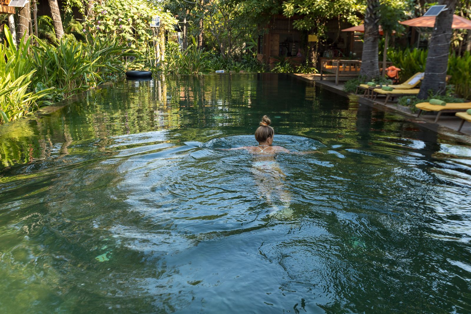 Piscine écologique et naturelle : principes & prix